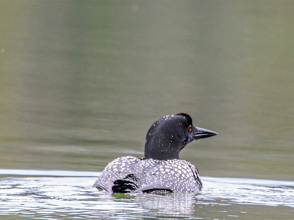 fourth slide image