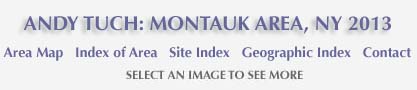 Andy Tuch: Montauk Area 2013 and links to area map, area and site index and geographic index